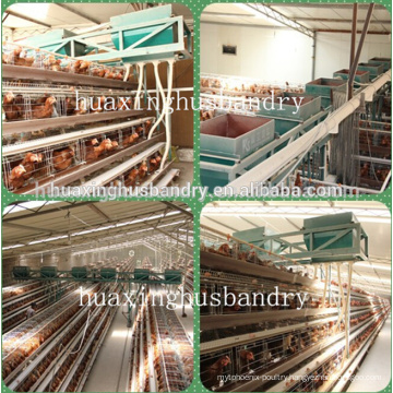 Corrosion Resistant chicken cages coops for chicken shed